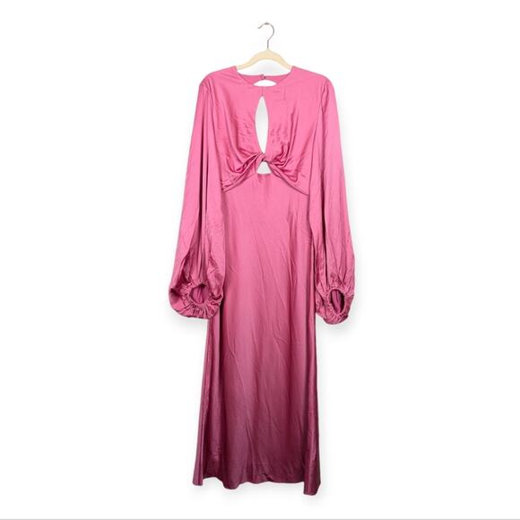 NWT Significant Other Medium Pink Demi Backless Long-Sleeve Column Gown